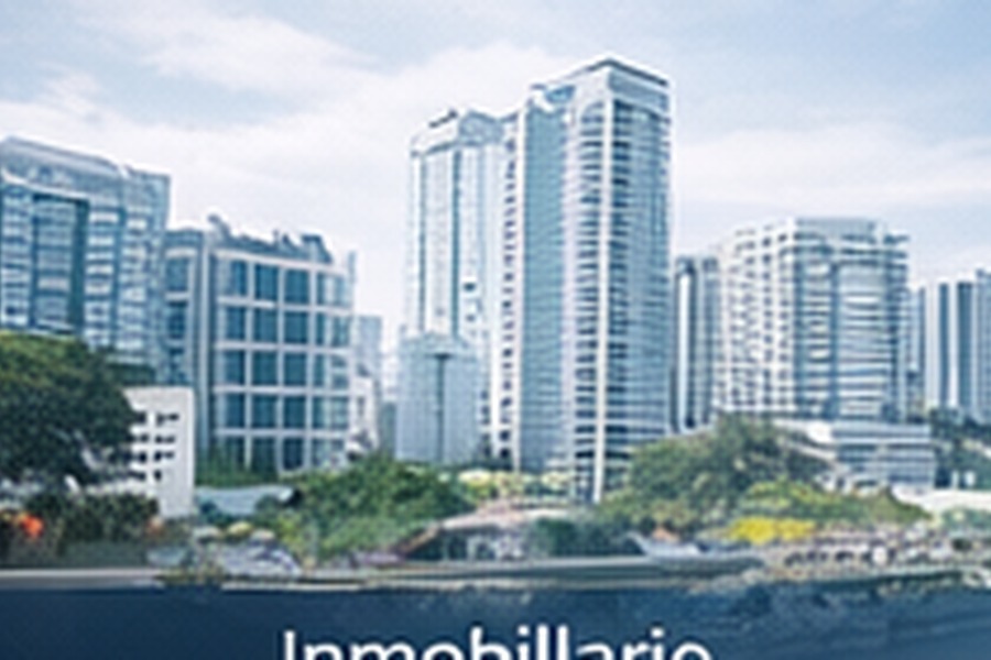 Inmobiliario